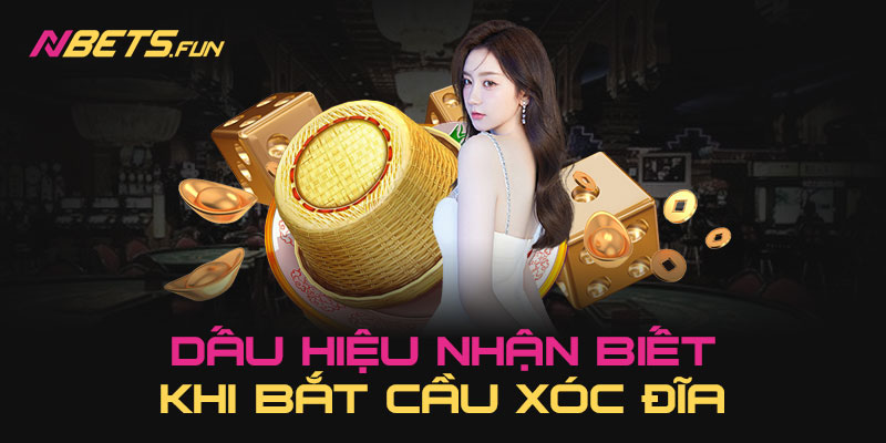 Bật Mí Phương Pháp Bắt Cầu Xóc Đĩa Xanh Chín Của Cao Thủ